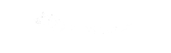 English Setter